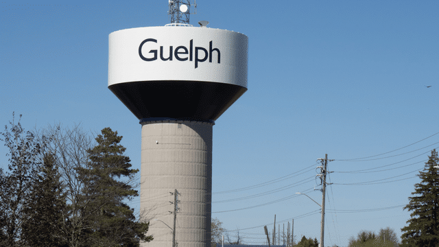 things to do in guelph