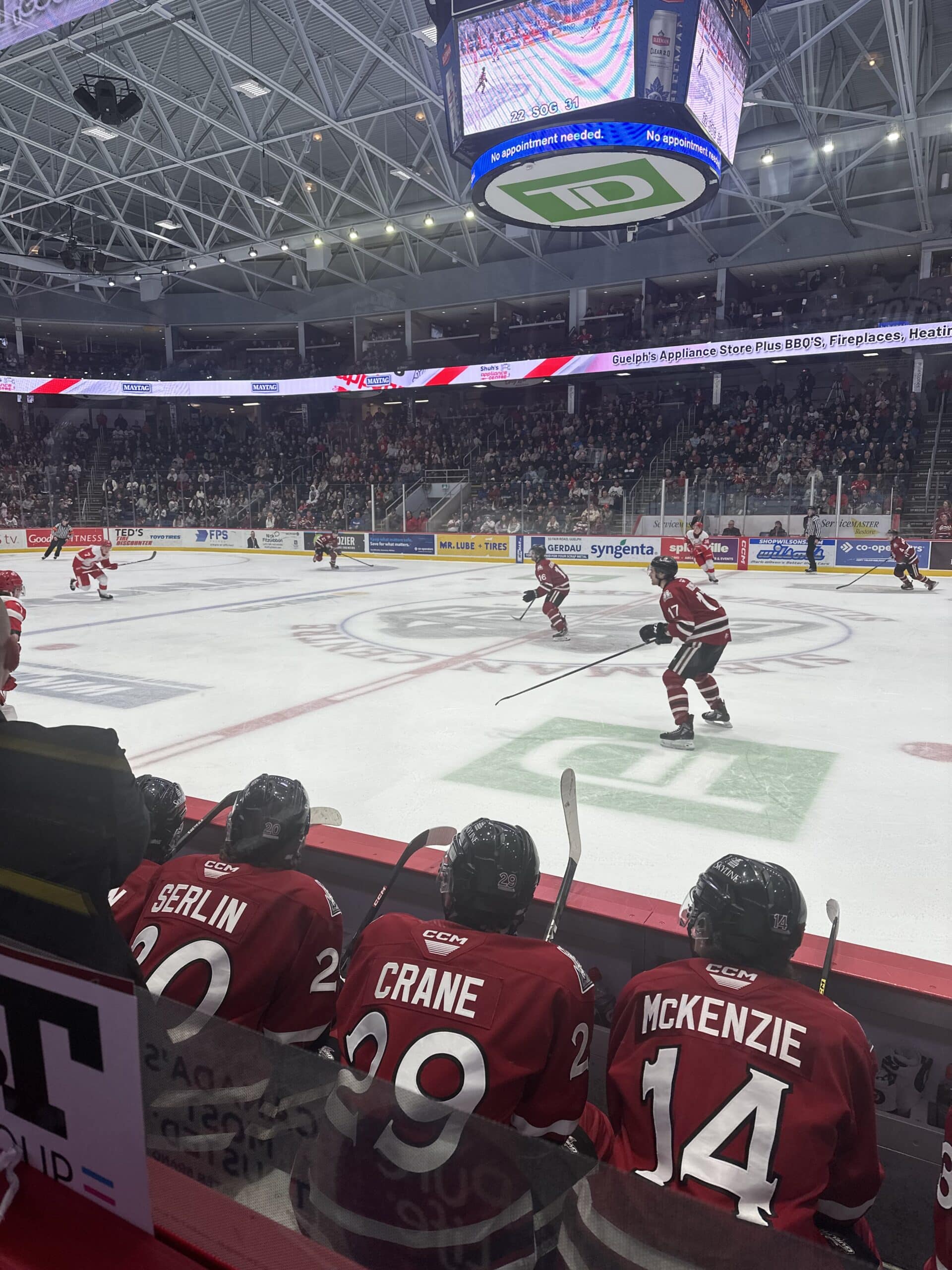 View from Beth and Ryan's Guelph Storm seats directly behind the Storm bench at the Sleeman Centre